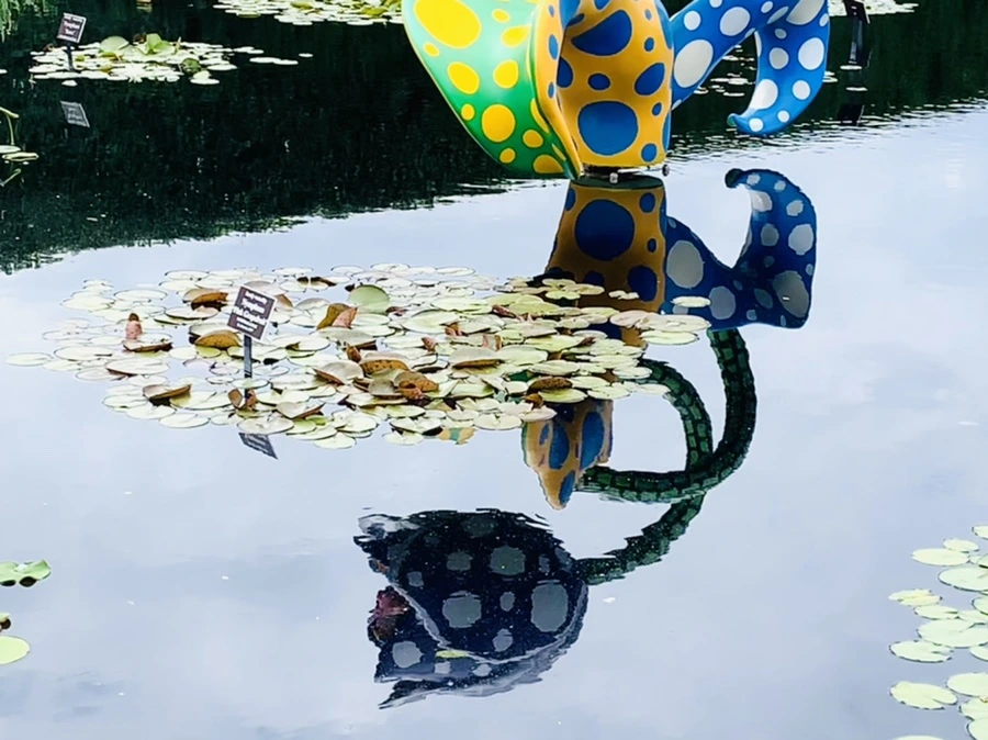 IMG_8386.jpg?type=w966