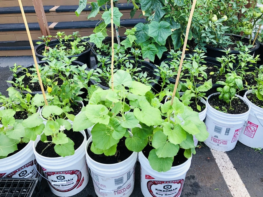 IMG_4417.jpg?type=w966