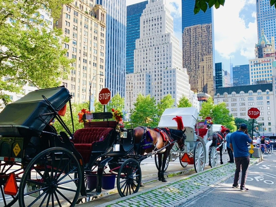 vJeuXnnALxuw8c7CfZ2VUSqKnAE