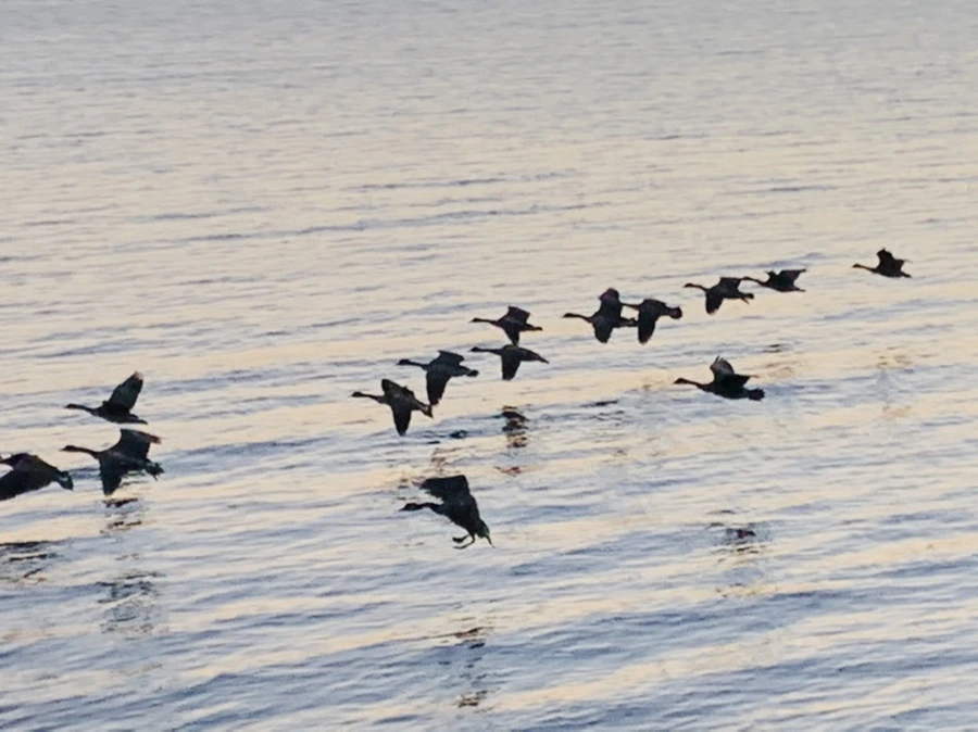 IMG_9457.jpg?type=w966