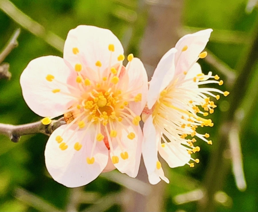 IMG_0261.jpg?type=w966