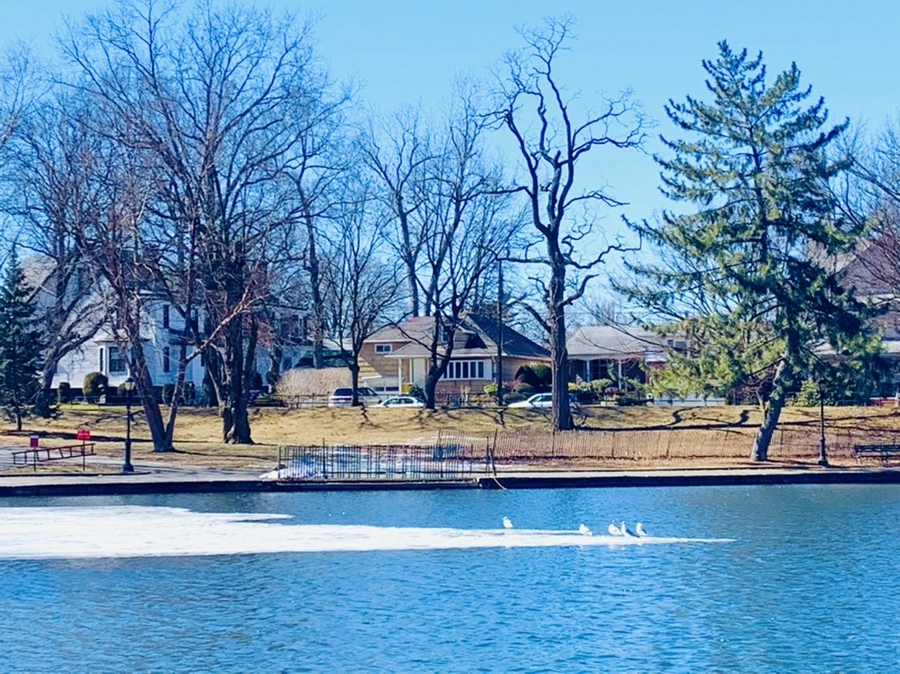 IMG_6647.jpg?type=w966