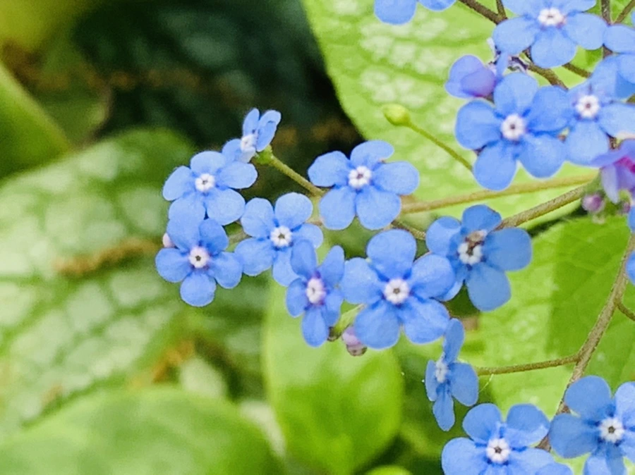 IMG_1364.jpg?type=w966