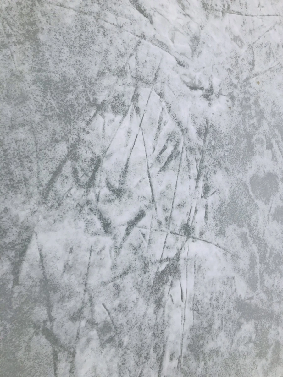 IMG_2589.jpg?type=w966