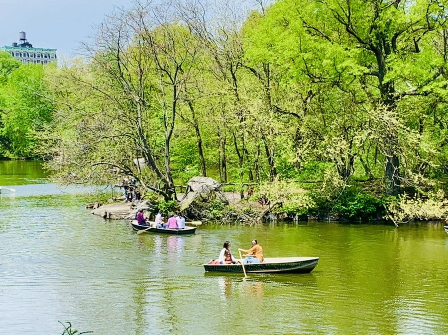 3yr6eoSPr9JmLeNcfCSqObXLK4U