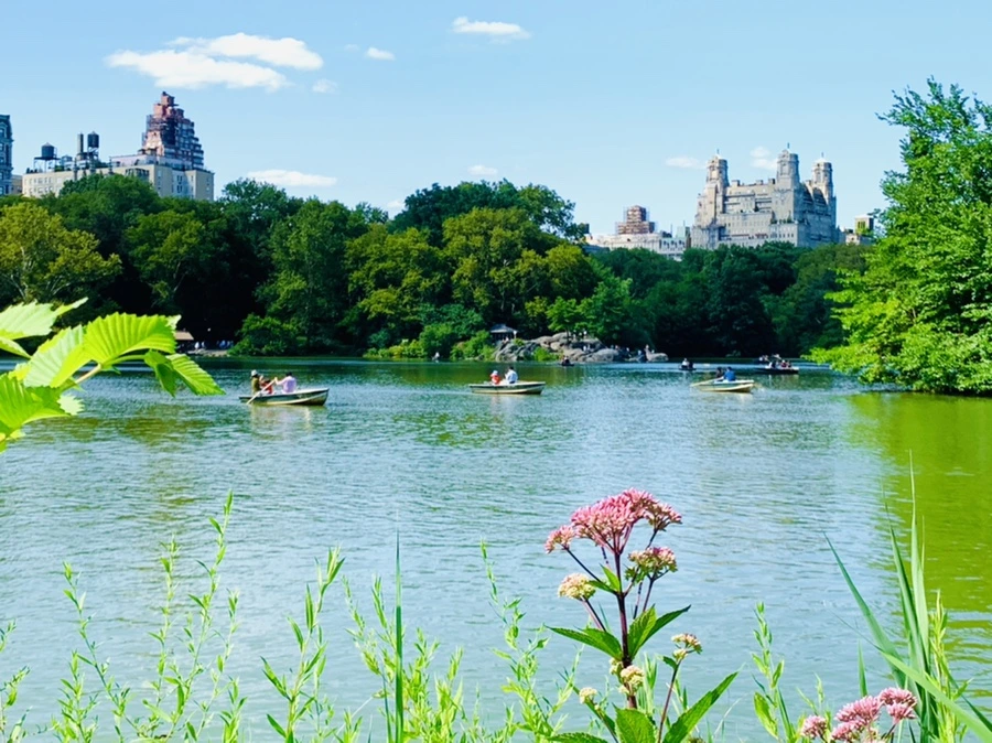 IMG_4467.jpg?type=w966