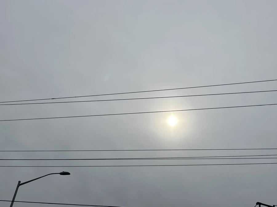 IMG_4486.jpg?type=w966