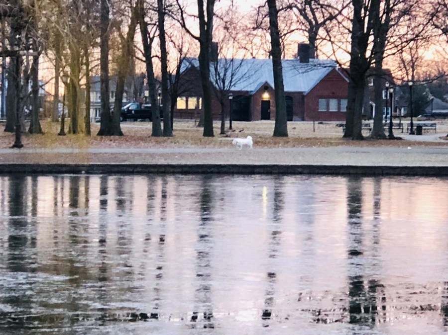 IMG_1906.jpg?type=w966