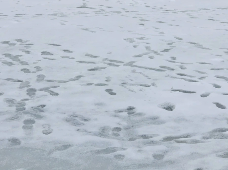 IMG_2755.jpg?type=w966