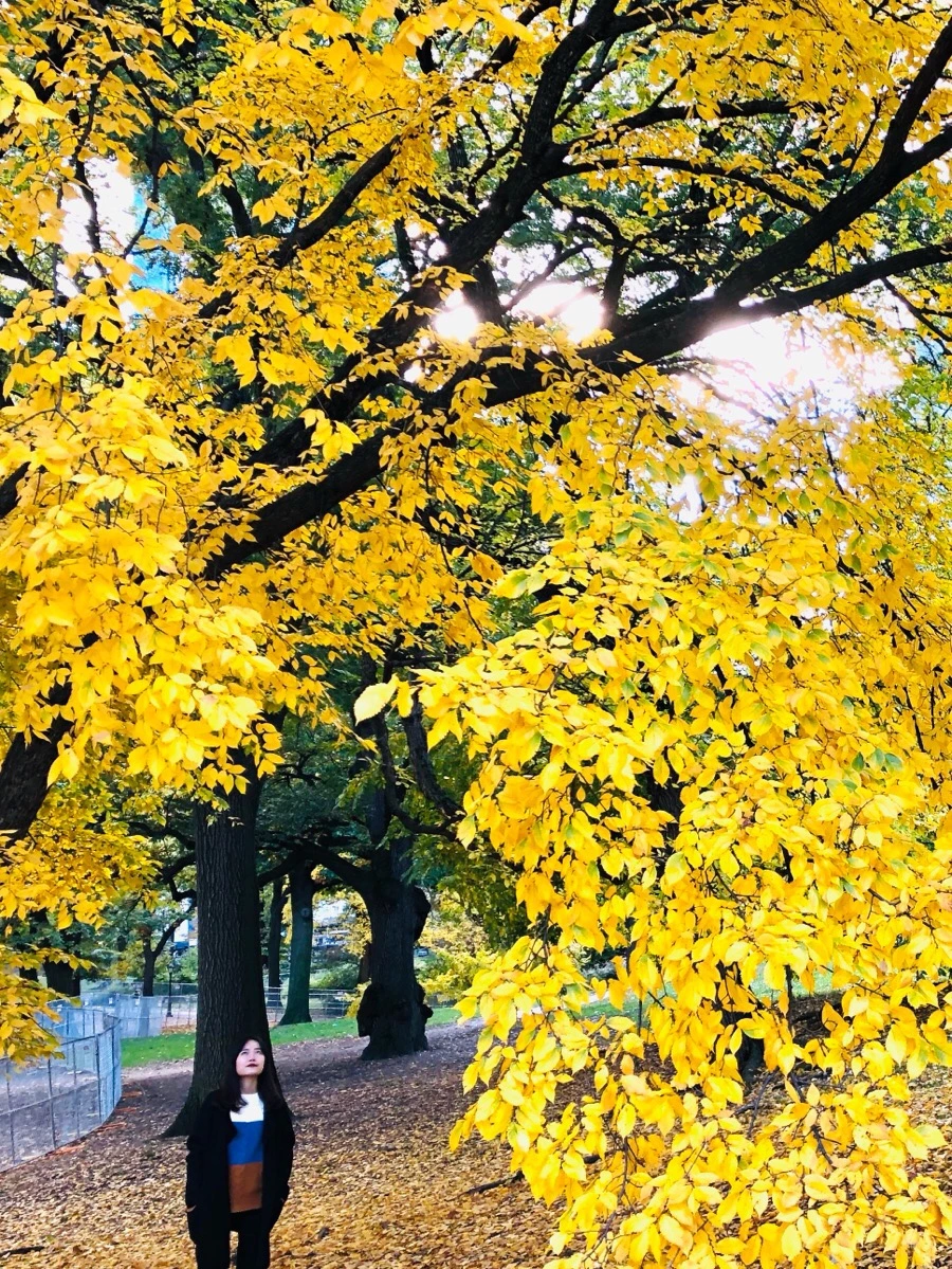 IMG_7329.jpg?type=w966