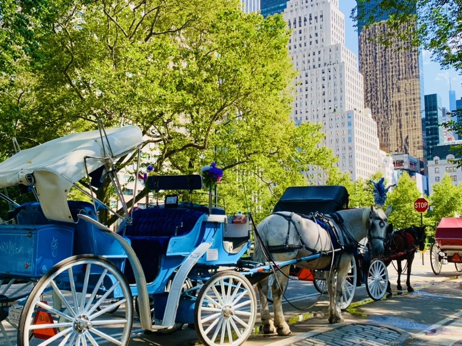 IMG_4533.jpg?type=w966