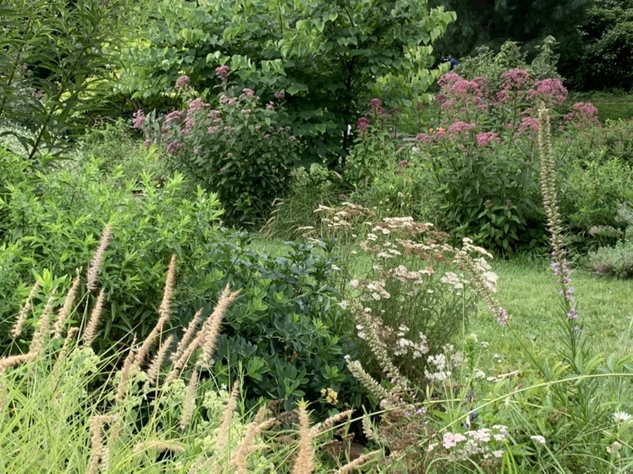 IMG_5054.jpg?type=w966