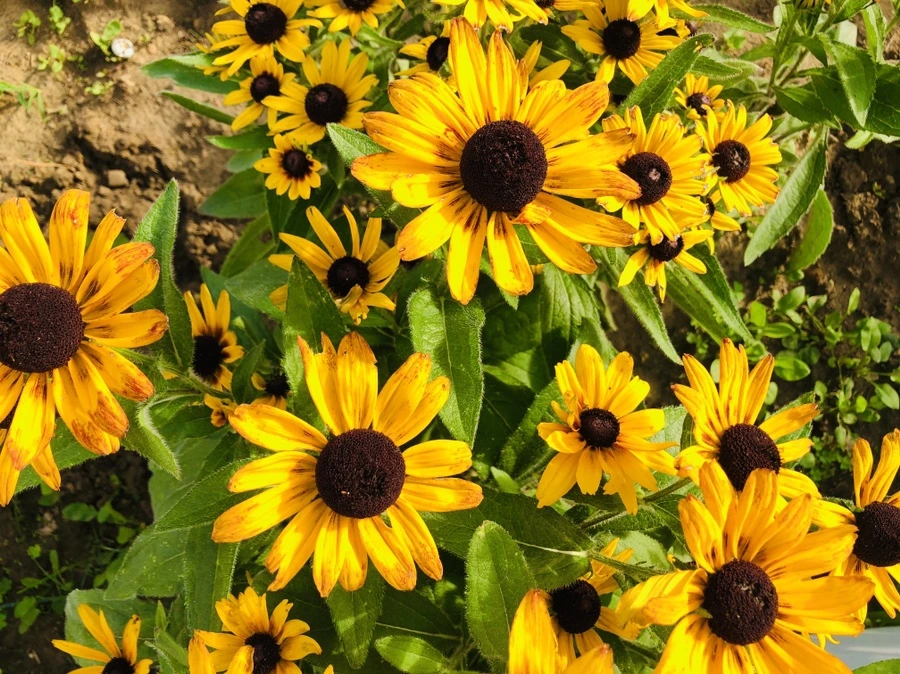 IMG_2962.jpg?type=w966