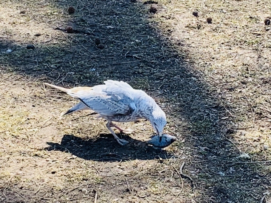 IMG_9282.jpg?type=w966