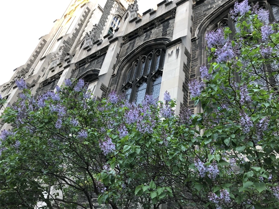 IMG_3535.jpg?type=w966