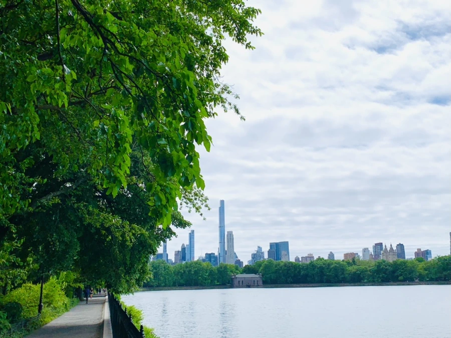 IMG_6405.jpg?type=w966