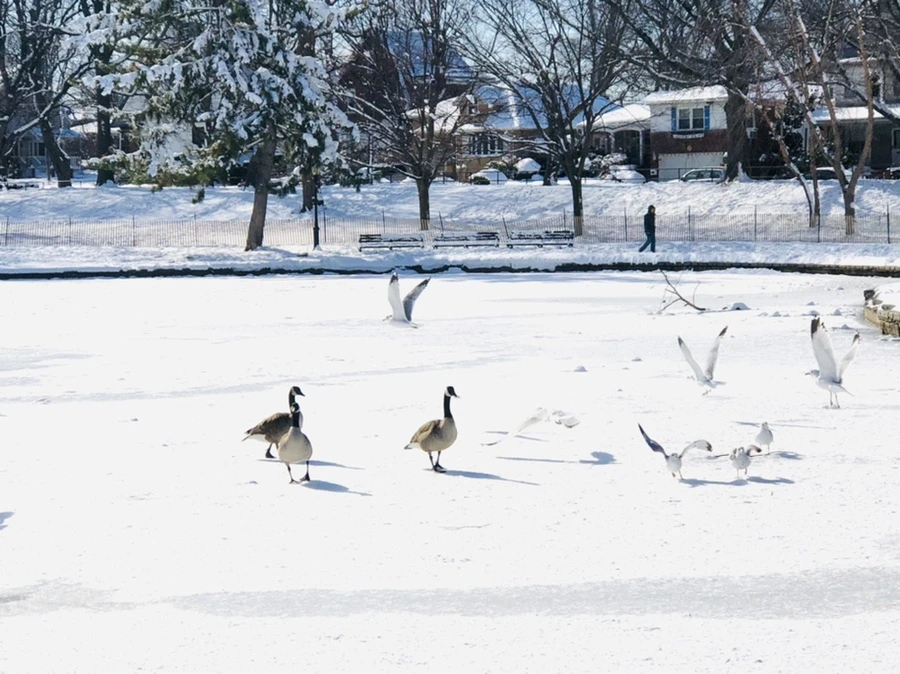 IMG_1326.jpg?type=w966