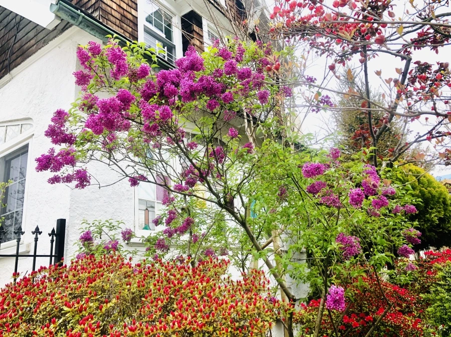 IMG_7155.jpg?type=w966