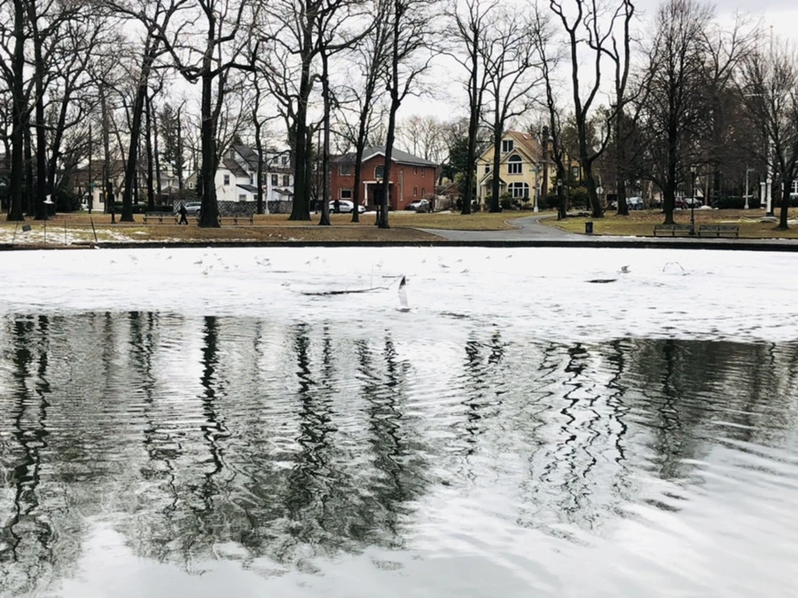 IMG_6452.jpg?type=w966