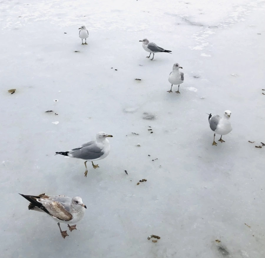 IMG_4319.jpg?type=w966