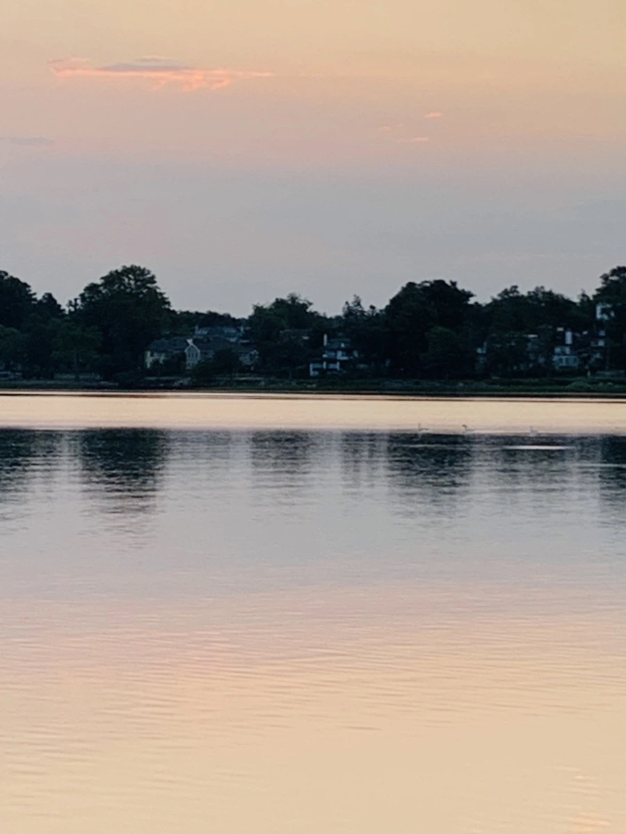 IMG_4591.jpg?type=w966