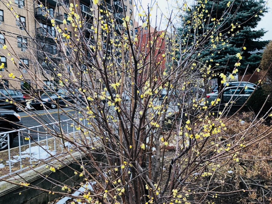 IMG_3216.jpg?type=w966