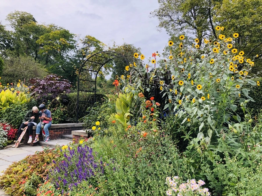 IMG_1822.jpg?type=w966