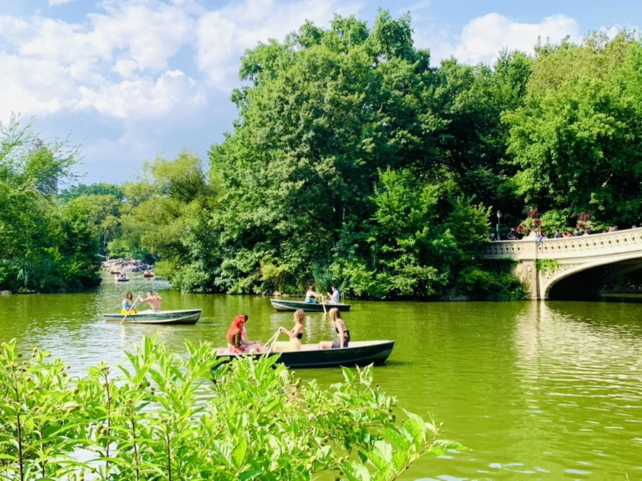 IMG_0656.jpg?type=w966