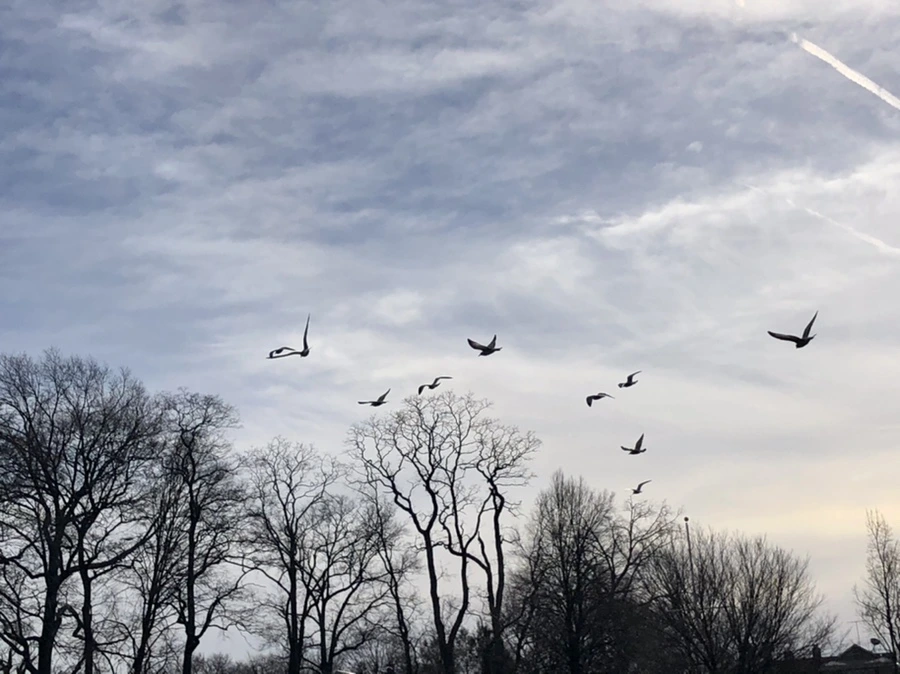 IMG_5700.jpg?type=w966