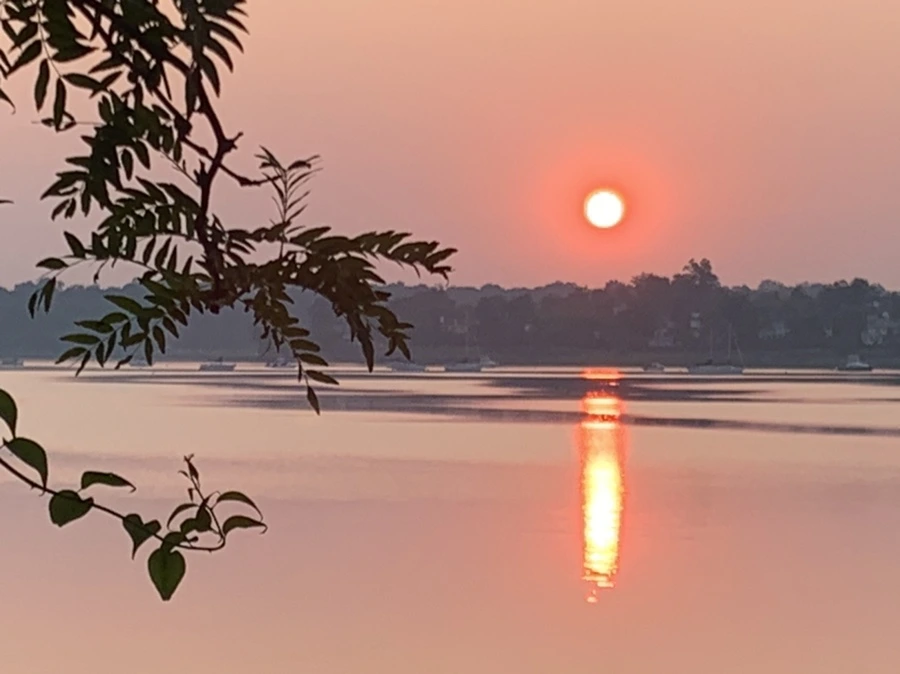 IMG_1968.jpg?type=w966