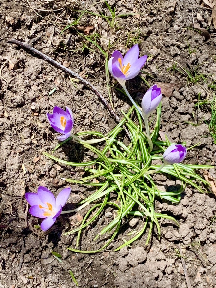 IMG_8206.jpg?type=w966