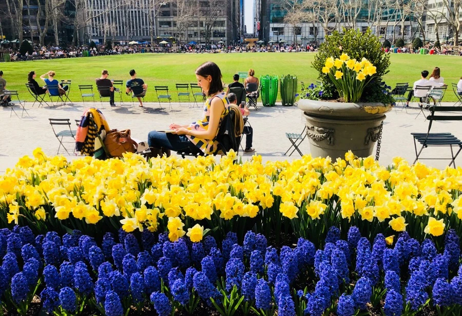 IMG_4375.jpg?type=w966