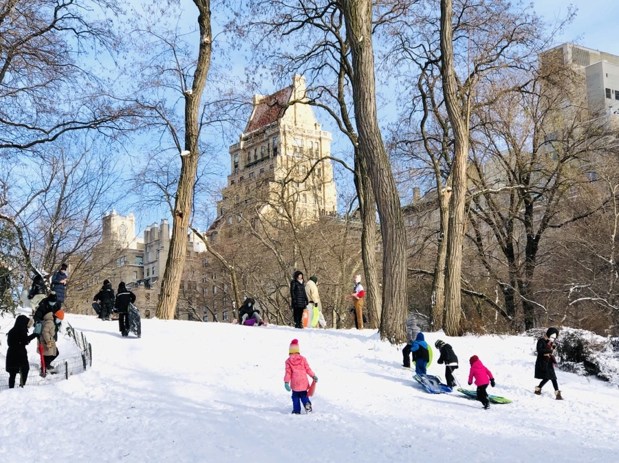 IMG_7020.jpg?type=w966