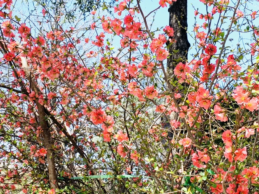 IMG_8539.jpg?type=w966