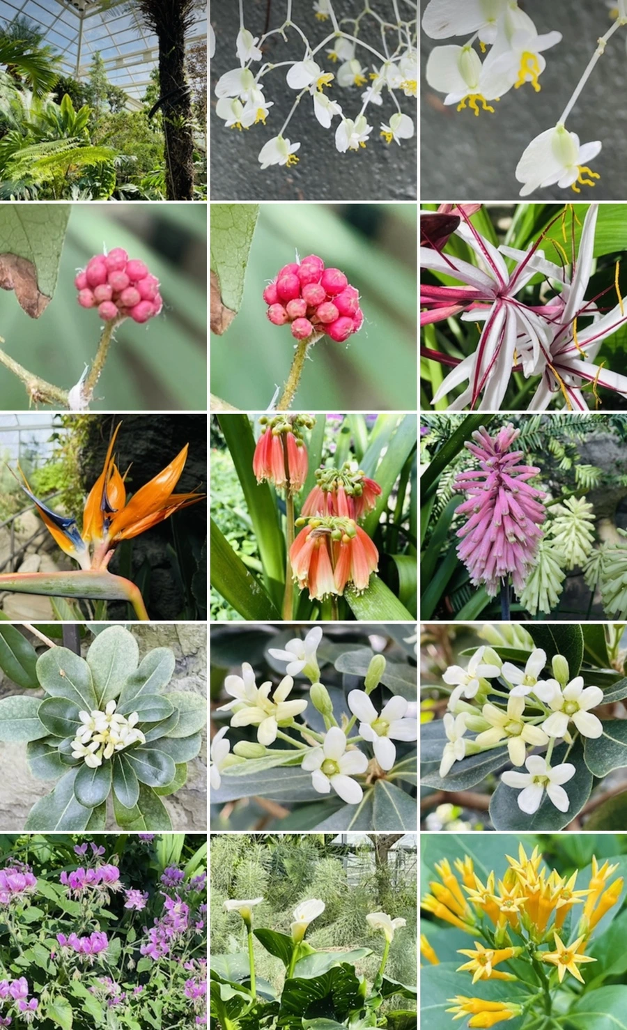 IMG_5411.jpg?type=w966