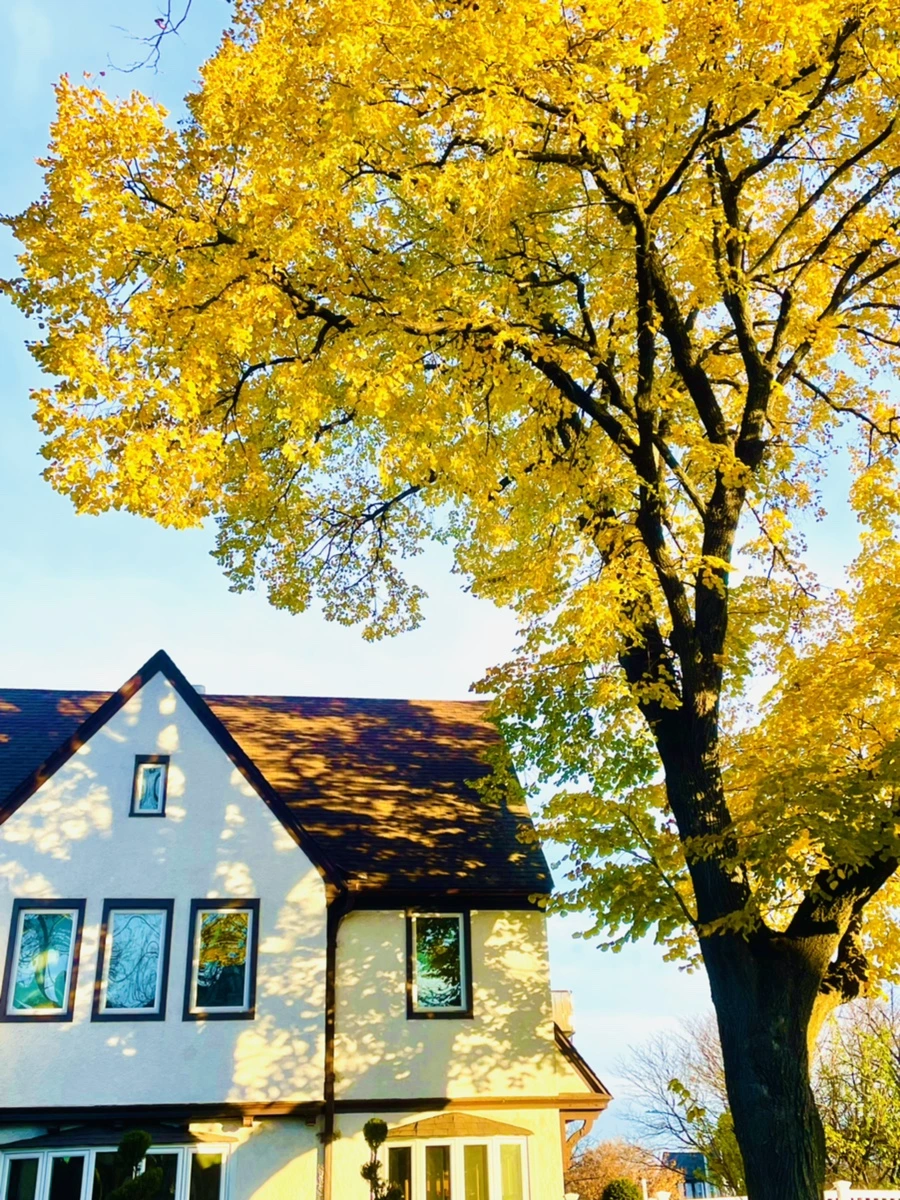 IMG_5981.jpg?type=w966