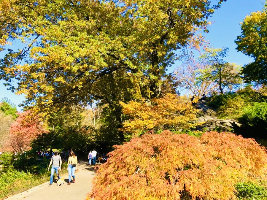 IMG_3777.jpg?type=w966