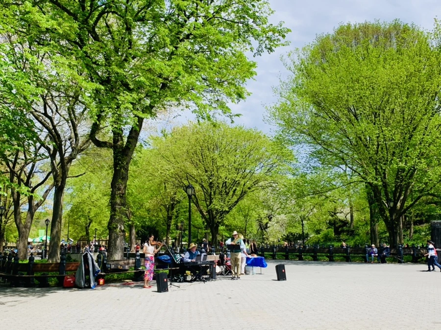 IMG_8810.jpg?type=w966