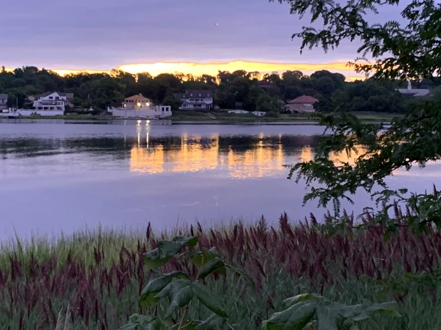 IMG_2279.jpg?type=w966