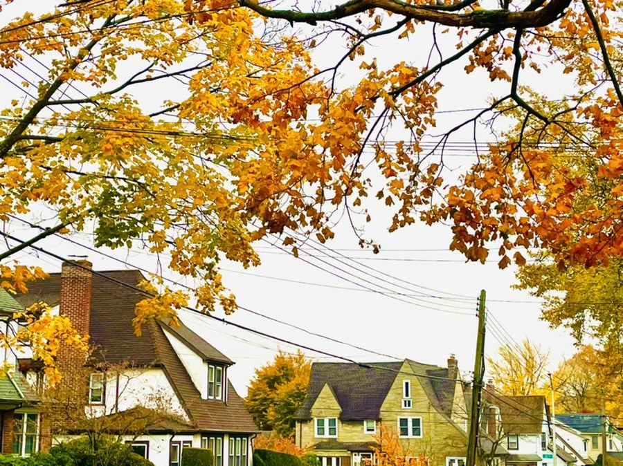 IMG_4846.jpg?type=w966