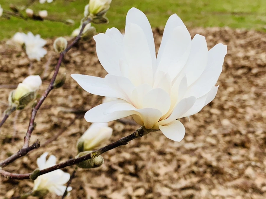 IMG_6034.jpg?type=w966