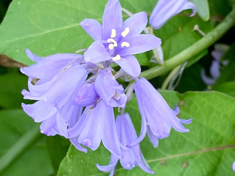 IMG_0933.jpg?type=w966