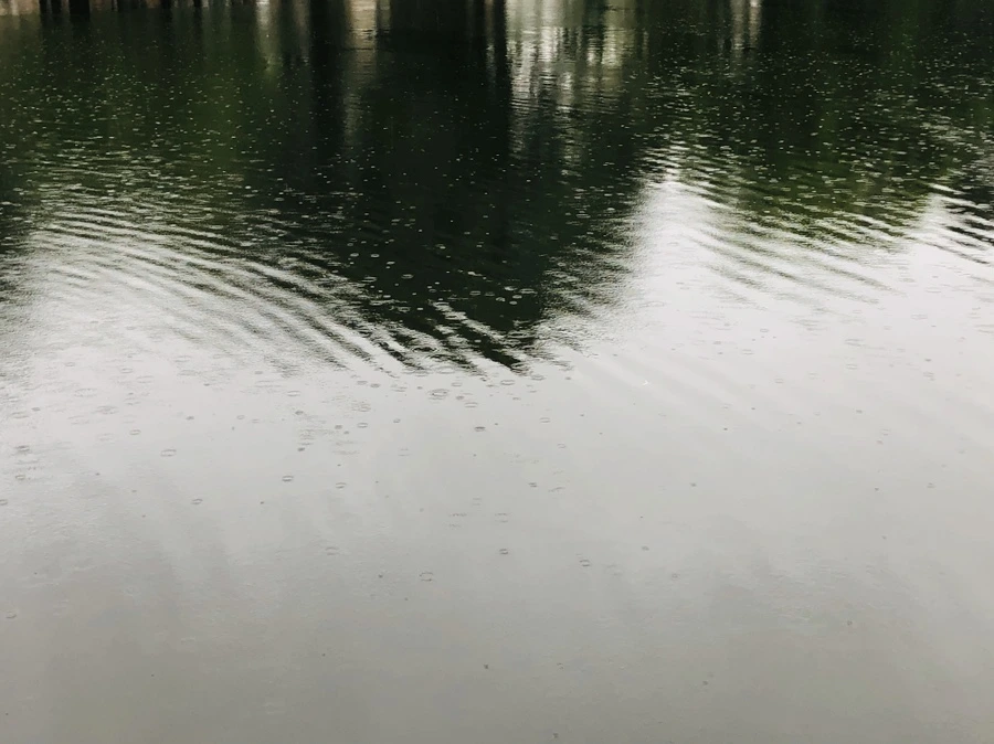 IMG_3296.jpg?type=w966