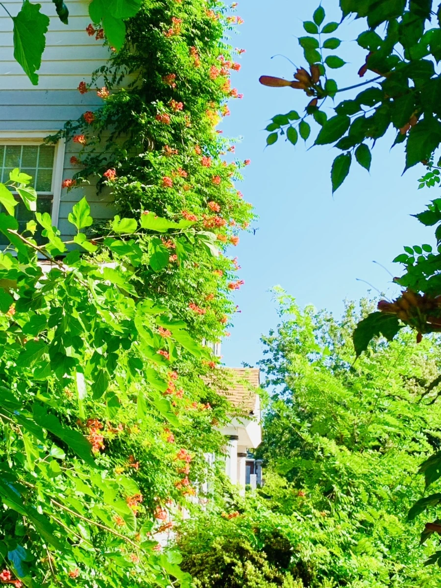 IMG_8707.jpg?type=w966