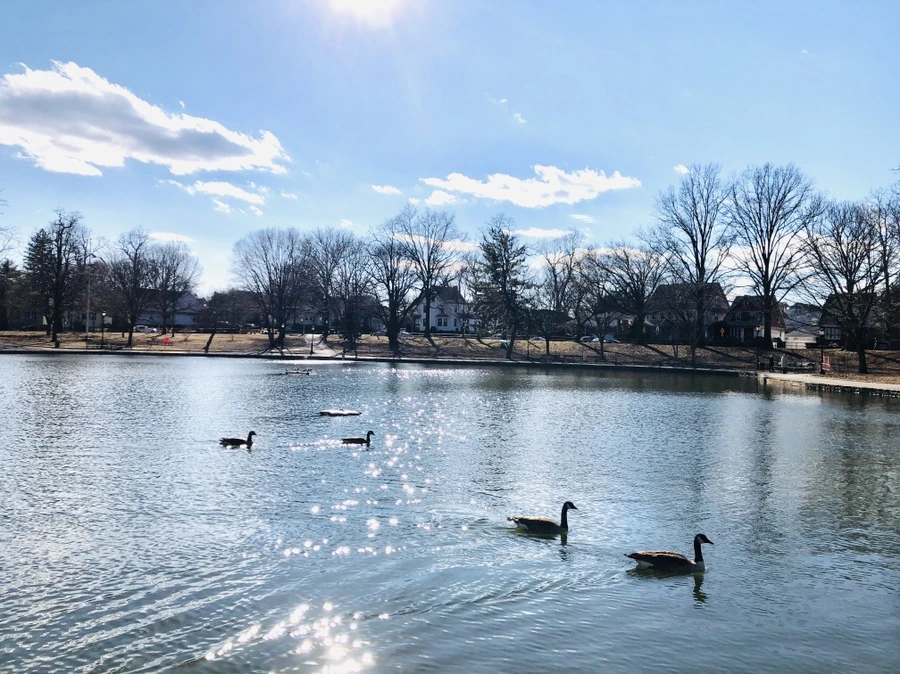 IMG_0222.jpg?type=w966