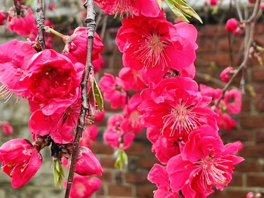 IMG_1280.jpg?type=w966