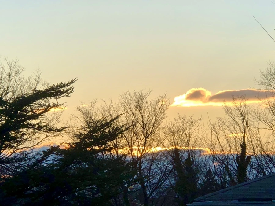 IMG_3048.jpg?type=w966