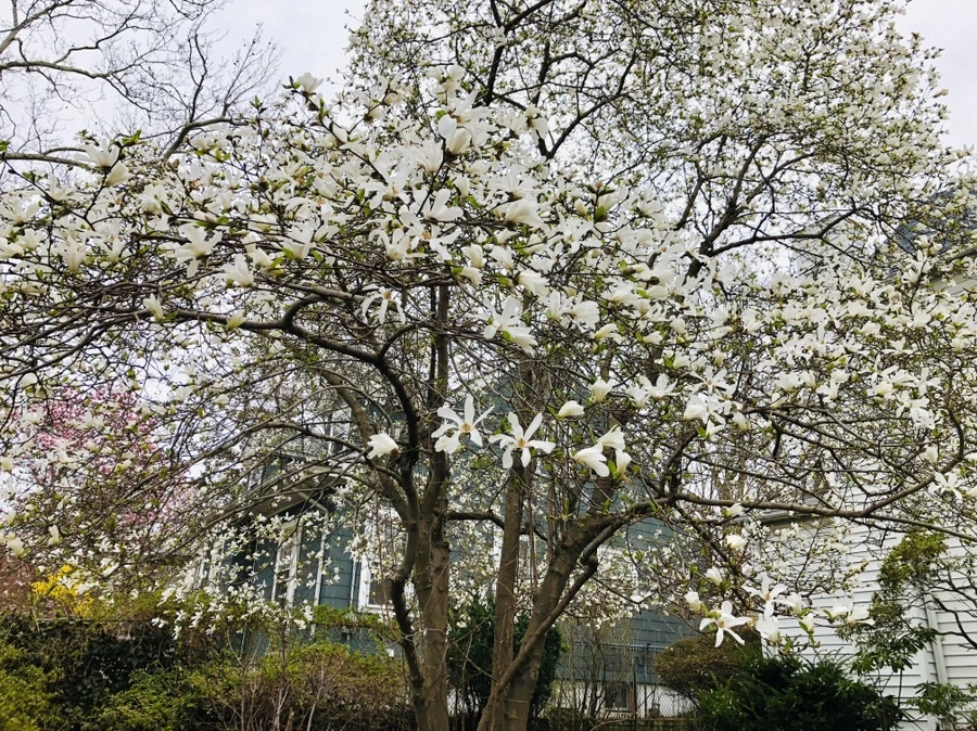 IMG_2751.jpg?type=w966