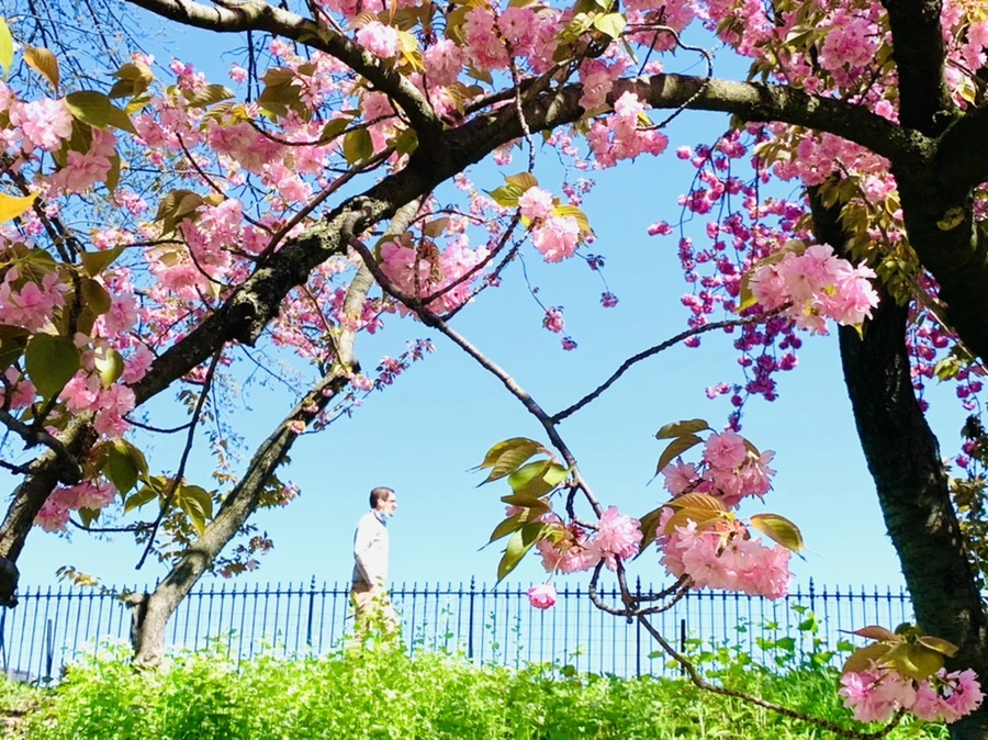 IMG_5847.jpg?type=w966