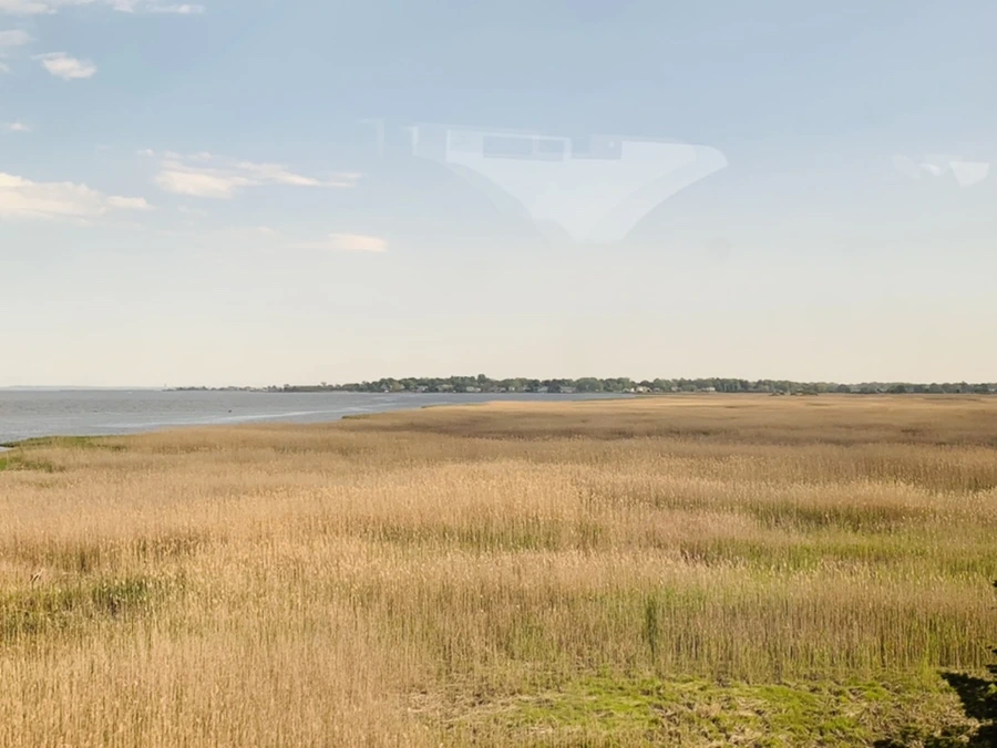 IMG_3199.jpg?type=w966